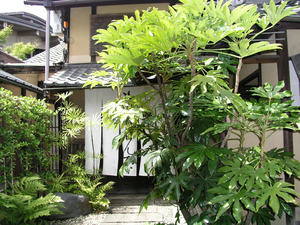 樂美術館の写真2