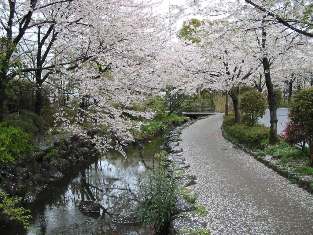 一之江境川親水公園の写真3