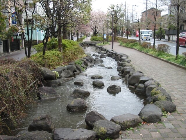 一之江境川親水公園の写真4