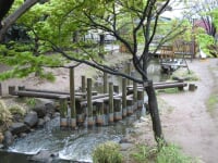 一之江境川親水公園