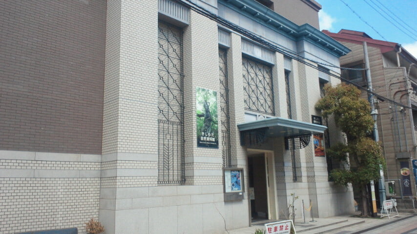 きしわだ自然資料館の写真2