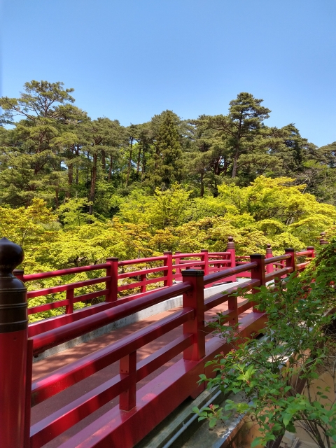 弥彦公園の写真3