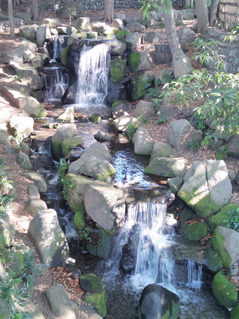 戸越公園の写真5