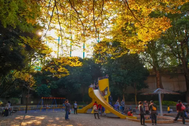 戸越公園の写真1