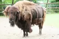 おびひろ動物園