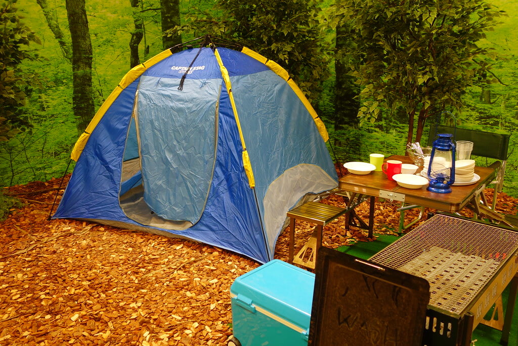 東京都現代美術館の写真3