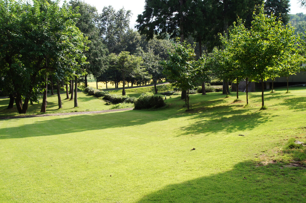 植村直己冒険館の写真11