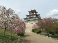 大阪青山歴史文学博物館