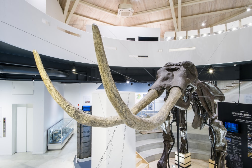 玄武洞ミュージアムの写真4