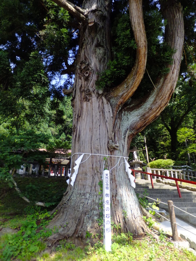 御座石神社の写真9