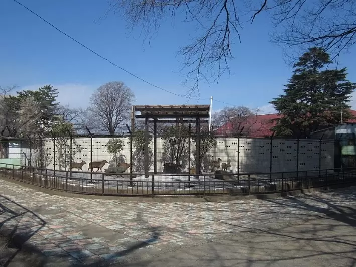 昭和公園の写真1