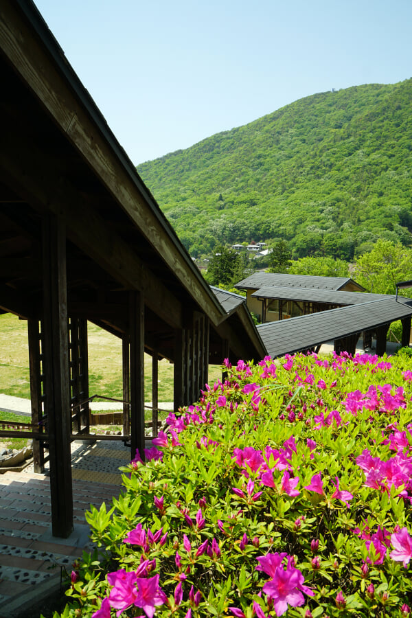 丹波伝統工芸公園 立杭陶の郷の写真7