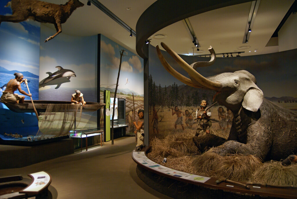 兵庫県立考古博物館の写真2