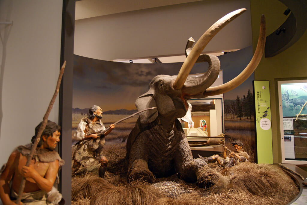 兵庫県立考古博物館の写真7