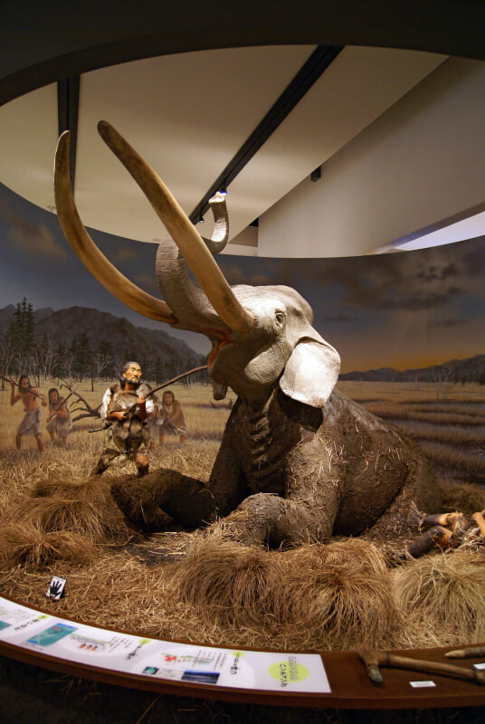 兵庫県立考古博物館の写真8