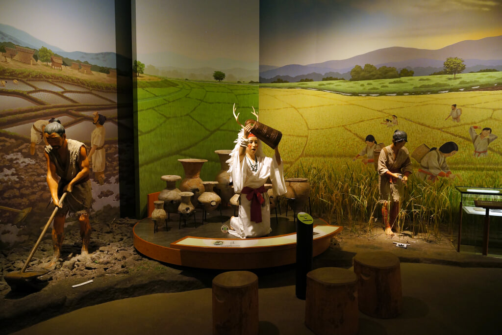 兵庫県立考古博物館の写真11