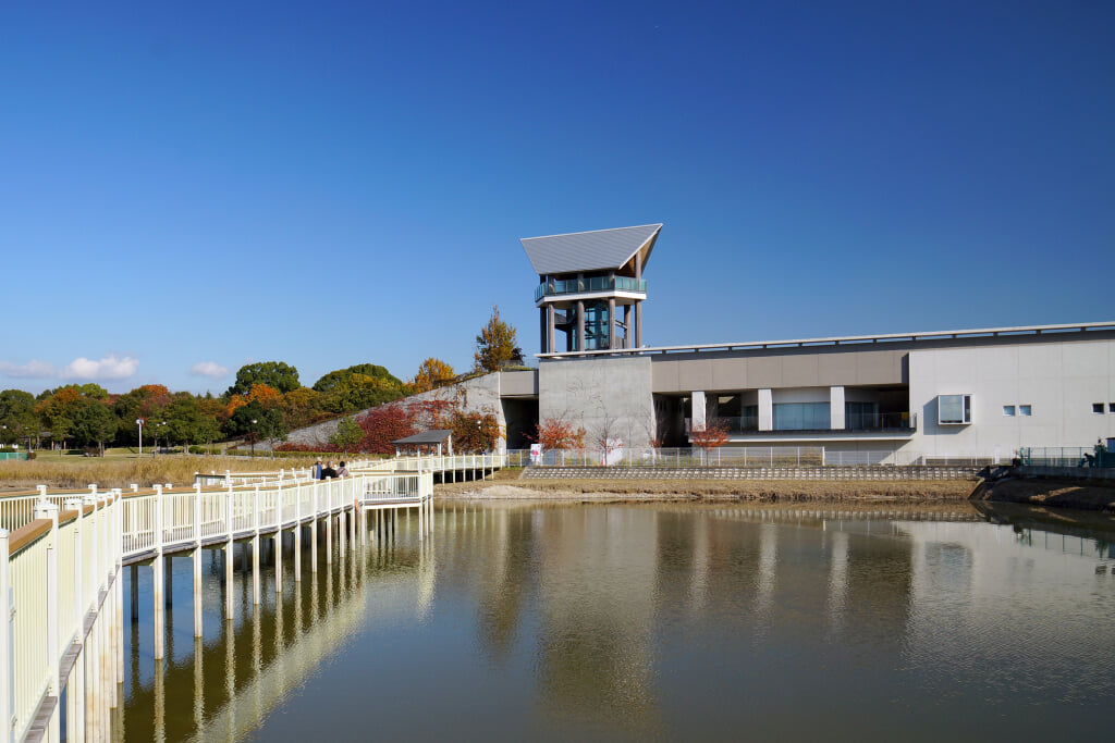 兵庫県立考古博物館の写真14