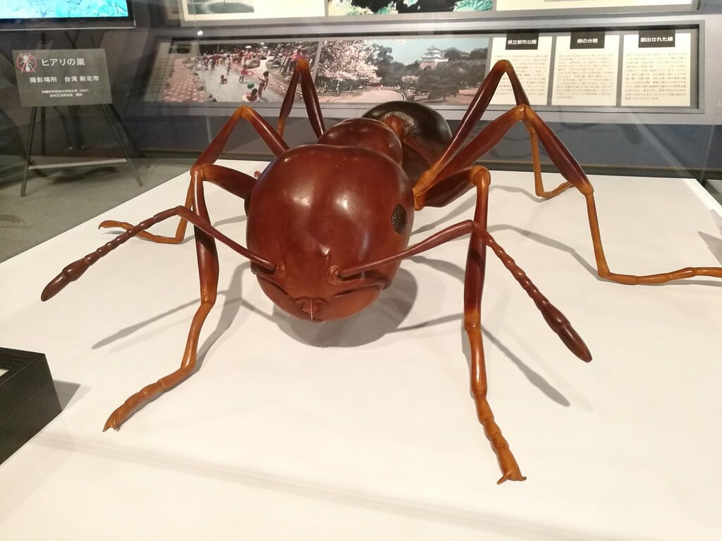 兵庫県立人と自然の博物館の写真2
