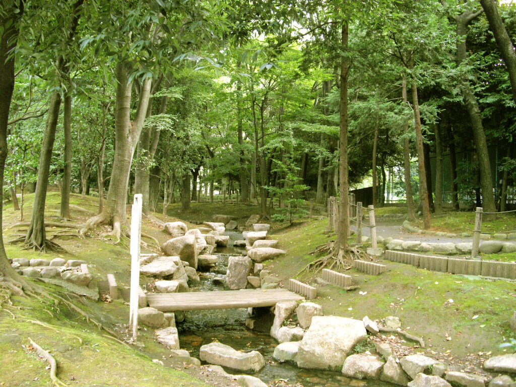 駒沢緑泉公園の写真3