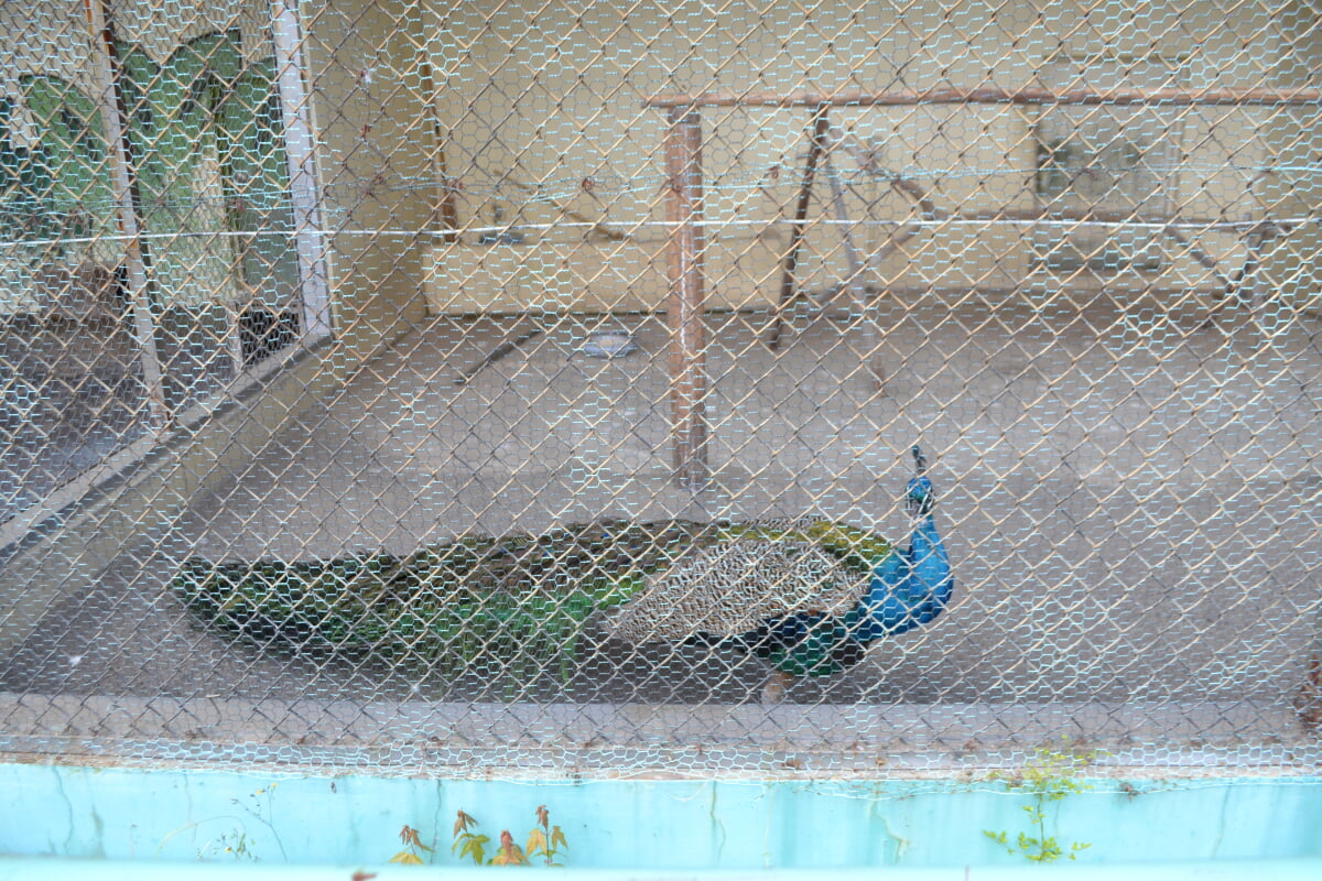 小倉公園の写真2