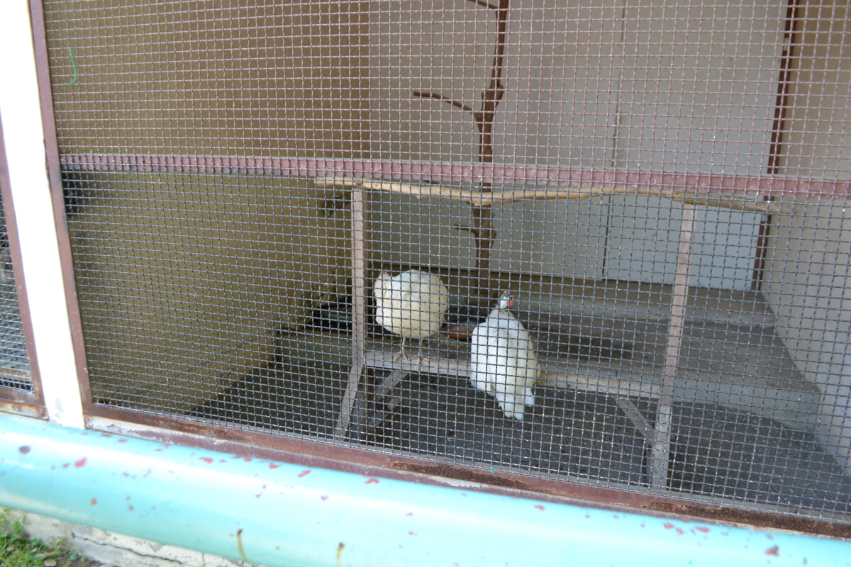 小倉公園の写真3