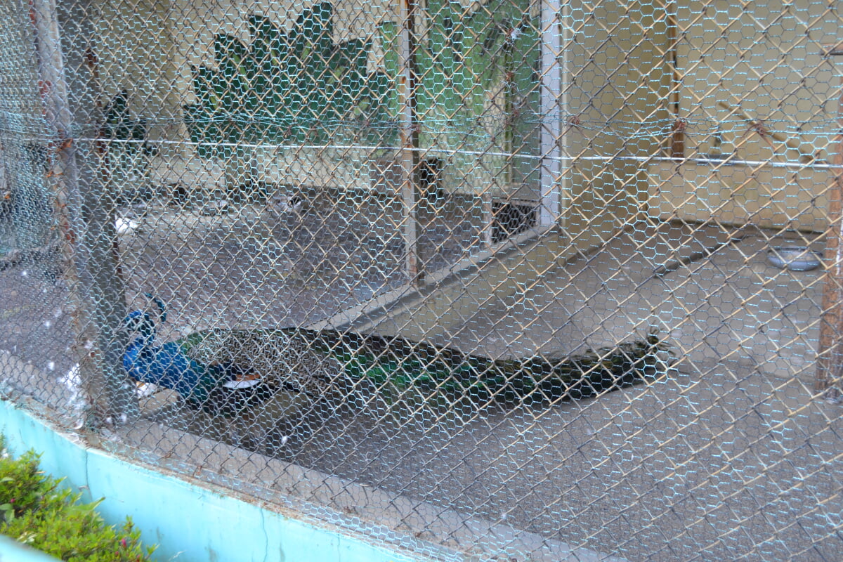 小倉公園の写真4