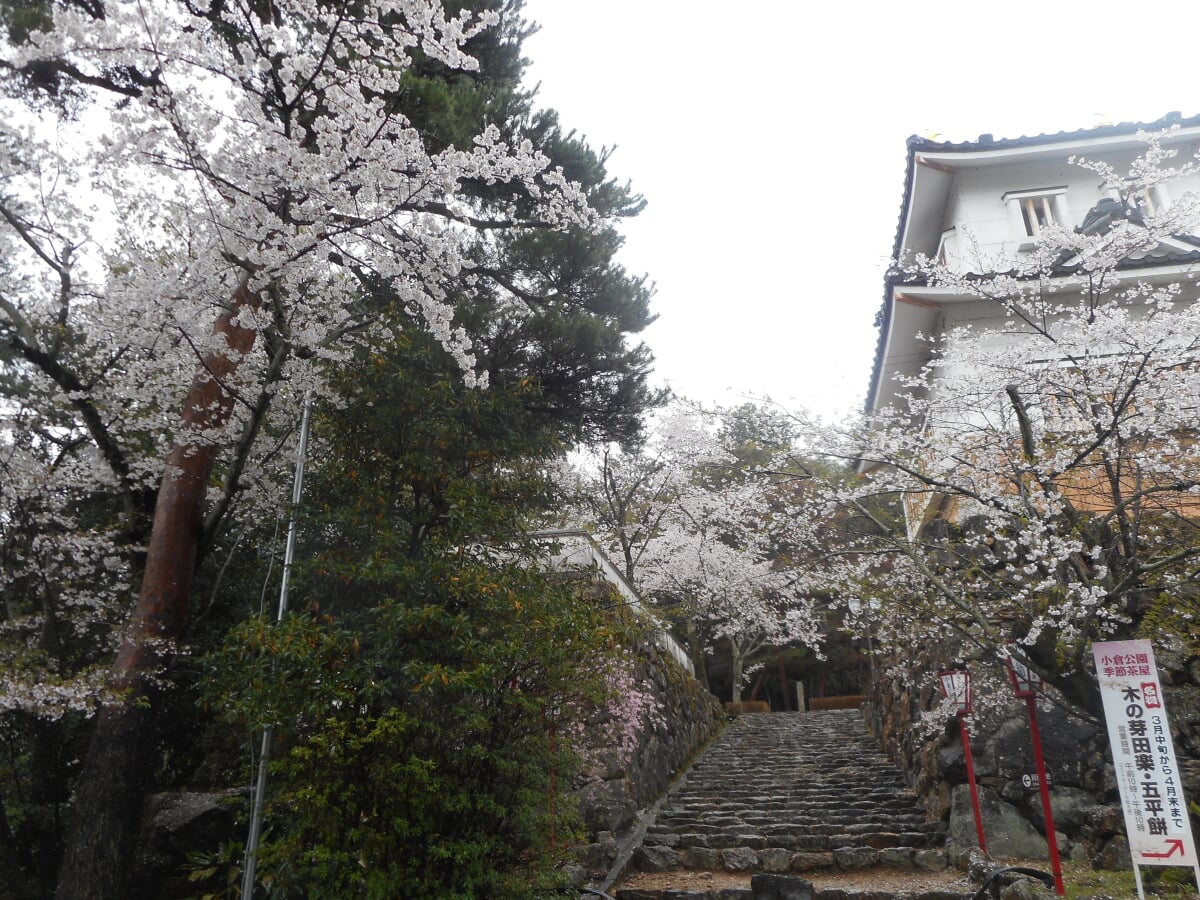 小倉公園の写真1