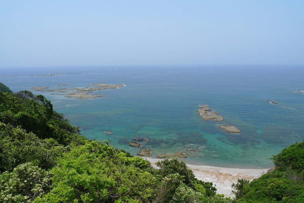 南方熊楠記念館の写真4