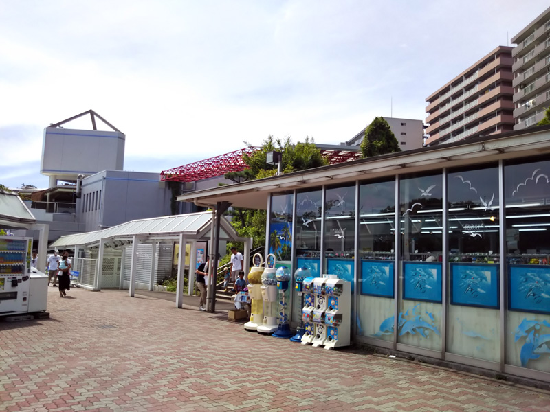 しながわ水族館の写真3