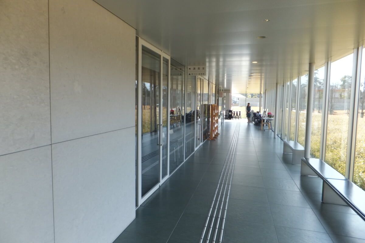 島根県立古代出雲歴史博物館の写真4