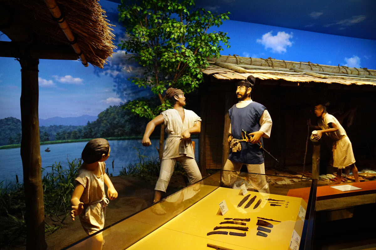 島根県立古代出雲歴史博物館の写真5