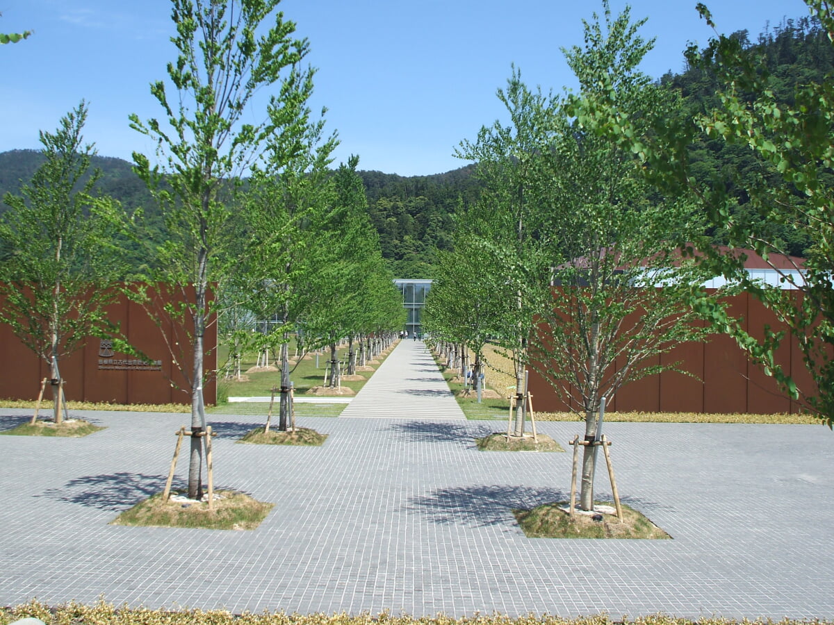 島根県立古代出雲歴史博物館の写真14