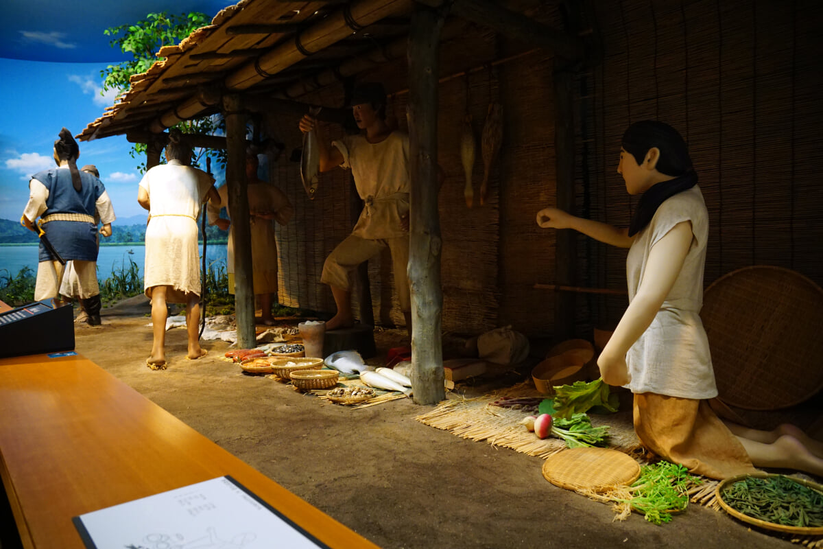 島根県立古代出雲歴史博物館の写真21