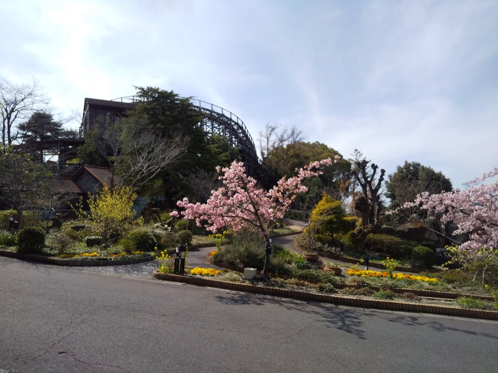 ひらかたパークの写真9