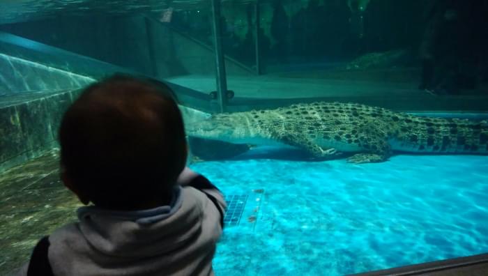 NIFREL(ニフレル)の写真2