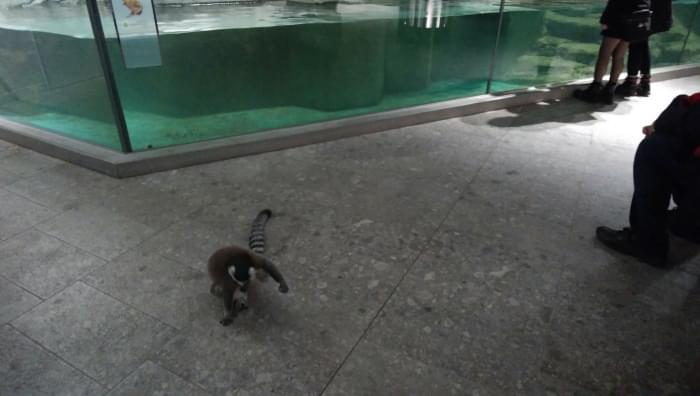 NIFREL(ニフレル)の写真3