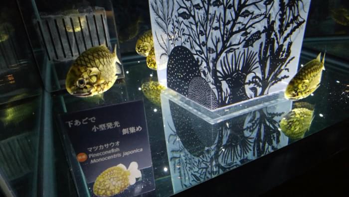 NIFREL(ニフレル)の写真5