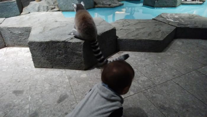 NIFREL(ニフレル)の写真6