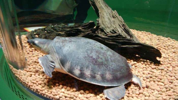 NIFREL(ニフレル)の写真7