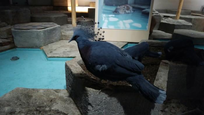 NIFREL(ニフレル)の写真9