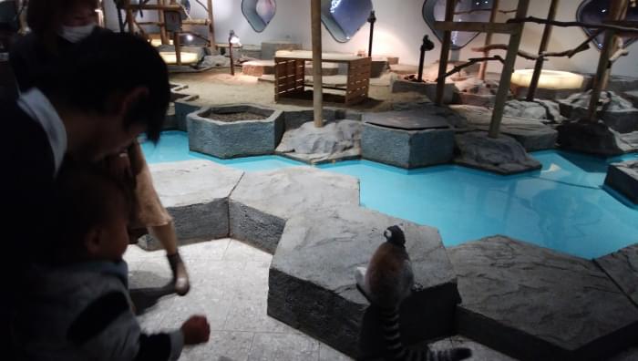 NIFREL(ニフレル)の写真10