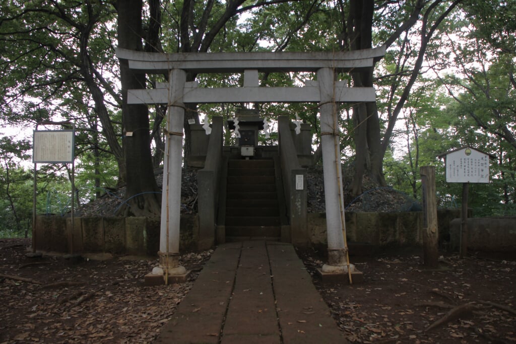都立浅間山公園の写真1