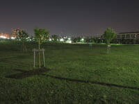 新田さくら公園