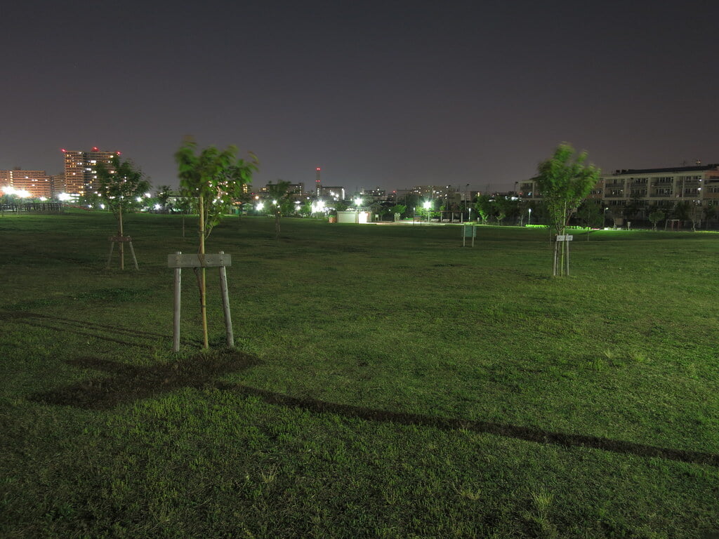 新田さくら公園の写真1