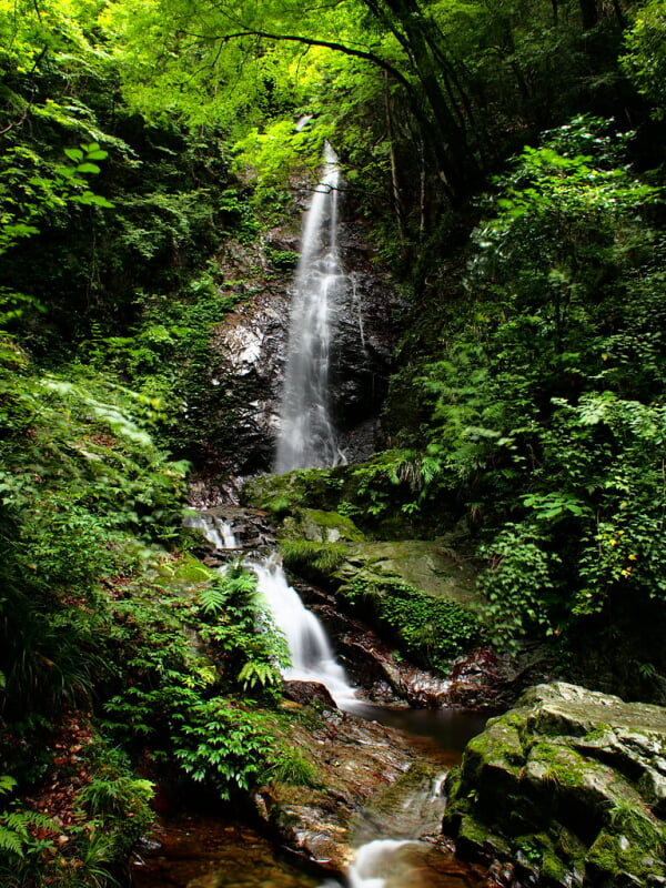 払沢の滝の写真4