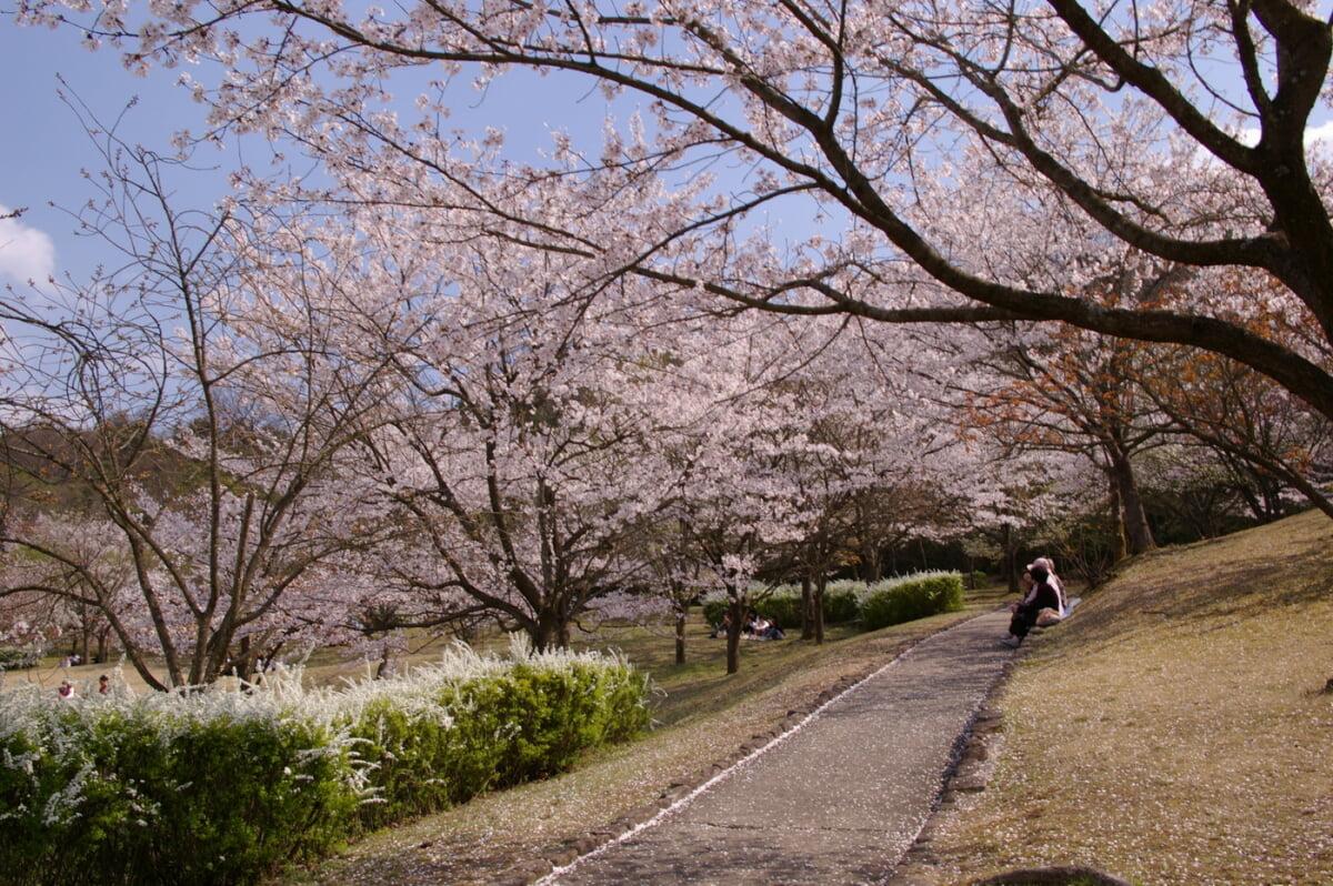 鏡山公園の写真1