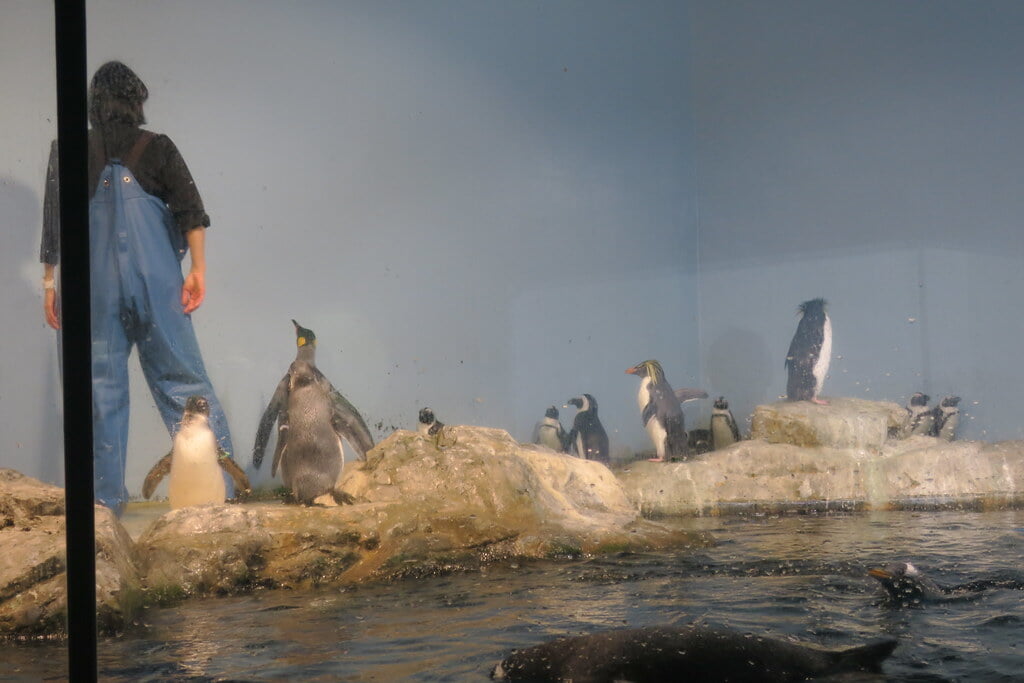 マクセル アクアパーク品川の写真2