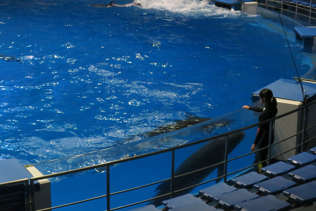 マクセル アクアパーク品川の写真3