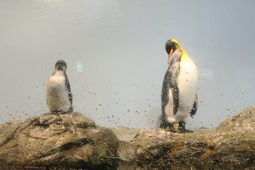 マクセル アクアパーク品川の写真4