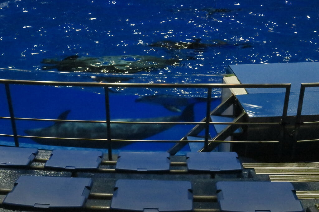 マクセル アクアパーク品川の写真5